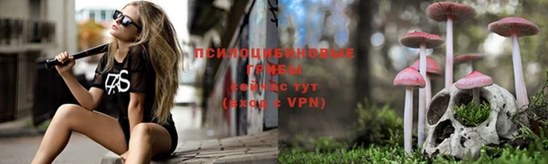 a pvp Балабаново